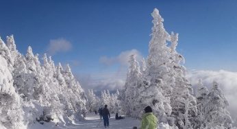 Traveler of the Day February Winner Announced