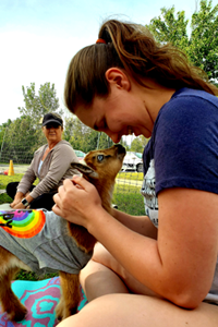 Sundance Vacations Goat Yoga